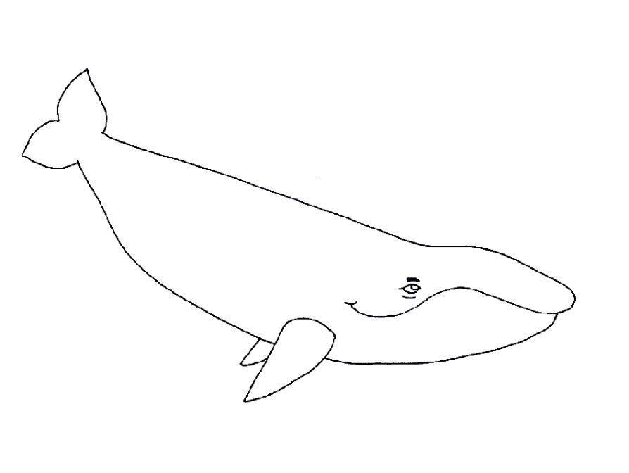  раскраски на тему кит для детей          раскраски с китами на тему окружающий мир для мальчиков и девочек.  раскраски с китами для детей и взрослых      