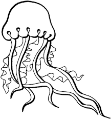  раскраски с медузой на тему окружающий мир для мальчиков и девочек. Познавательные и интересные раскраски с медузой для детей                      