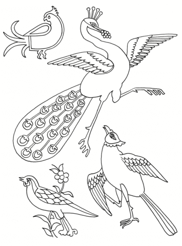  раскраски на тему рисуем птиц для мальчиков и девочек. Познавательные раскраски с поэтапным рисованием птиц. Раскраски для детей     