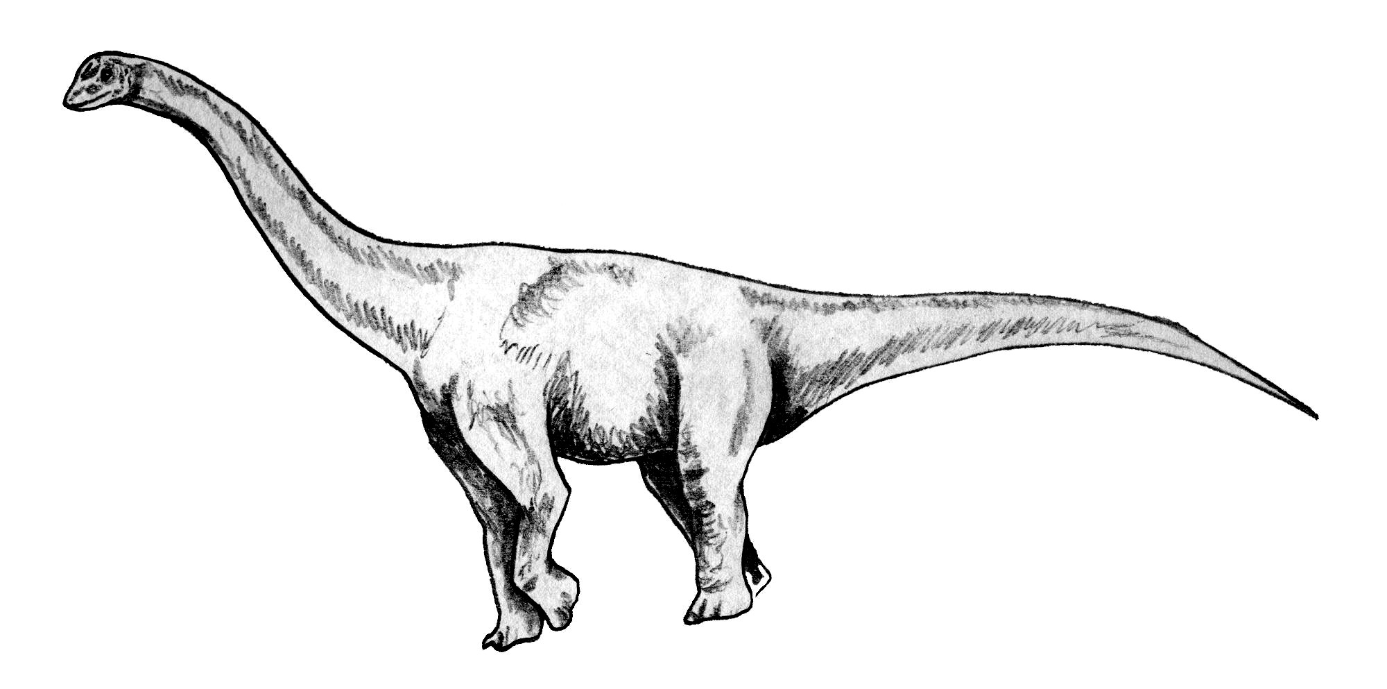 Зальтозавр Зальтозавр