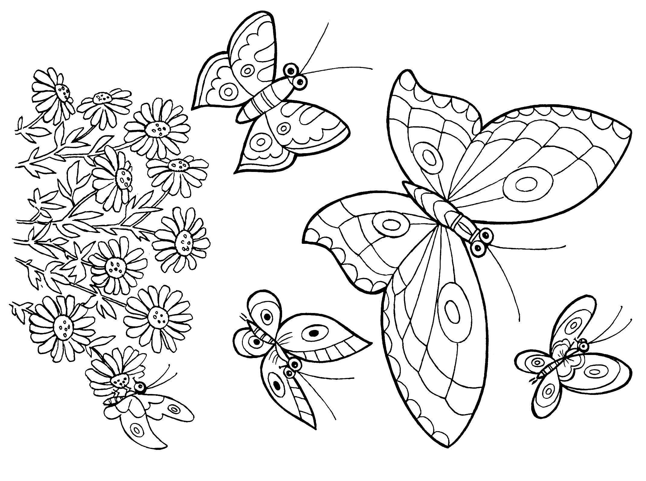  раскраски с бабочками для взрослых      раскраски на тему бабочки для детей и взрослых. Раскраски с красивыми бабочками для взрослых. Раскраски с бабочками                         