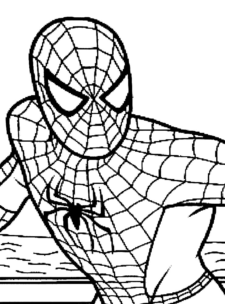 Раскраска Человек паук распечатать: бесплатно, в хорошем качестве, формат а4, картинки, рисунки