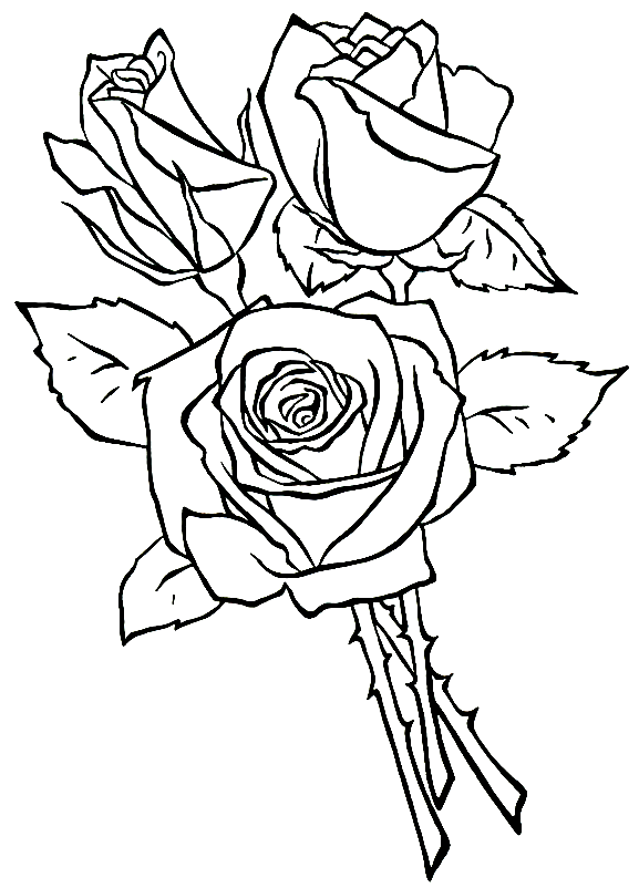 Розы. Роза. Раскраски розы. Раскраски для детей на тему окружающий мир, цветы, розы. Раскраски на тему цветы. Цветы. Скачать раскраски с розами.                  