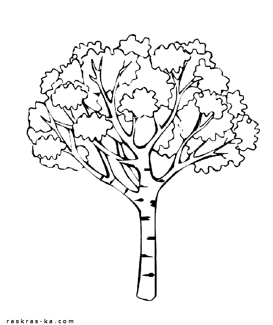 Раскраски Деревья