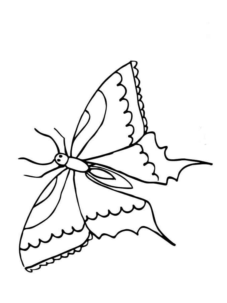 Раскраски с изображением бабочек . Раскраски с изображением разных видов бабочек . Разукрашки для всех членов семьи с изображением грациозных бабочек .             