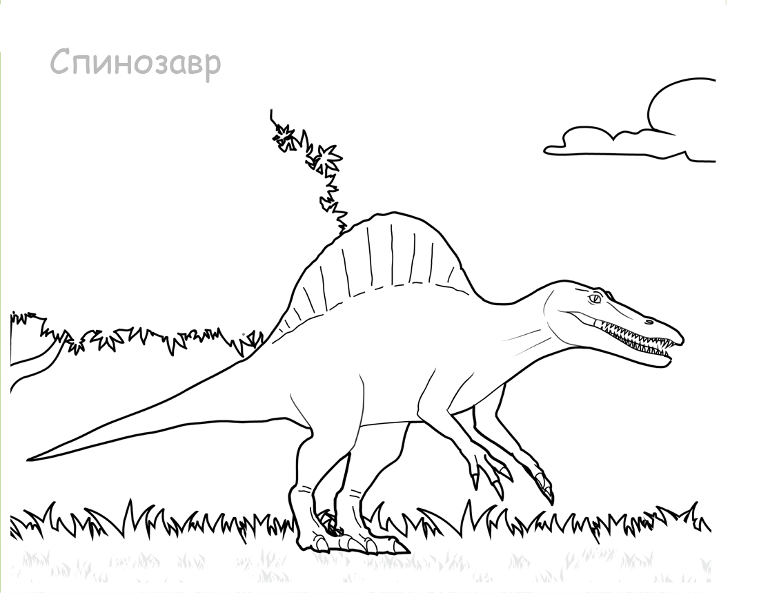 Раскрасить и скачать спинозавра. Раскраски с динозаврами Динозавр спинозавр. Скачать бесплатно. Раскраски про природу.