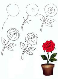  раскраски на тему рисуем растения   раскраски на тему рисуем растения для мальчиков и девочек. Познавательные раскраски с цветами и растениями для детей                        