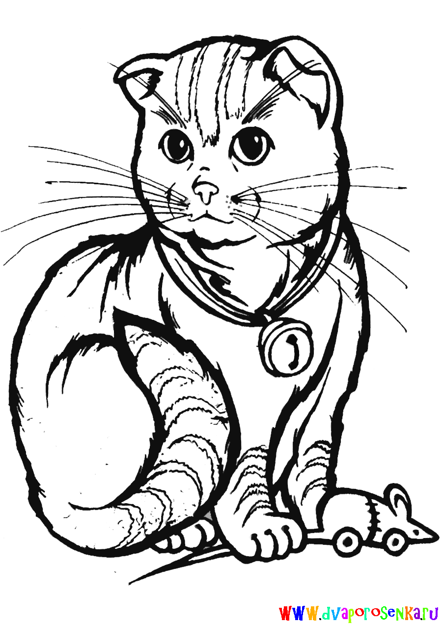 Раскраски антистресс для взрослых с изображениями кошек.     Раскраски антистресс для взрослых, снимающая стресс кототерапия в раскрасках. Милые кошки в раскрасках, использующиеся в качестве арт-терапии для взрослых.   