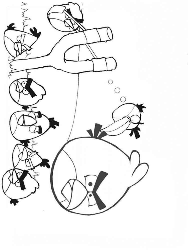  раскраски на тему Энгри Бердс            раскраски на тему Энгри Бердс для мальчиков и девочек. Интересные и смешные раскраски с персонажами Энгри Бердс для детей и взрослых        
