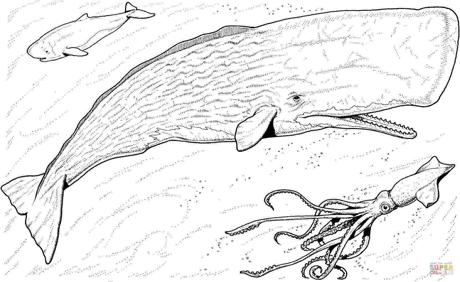 Раскраски на тему окружающий мир. Раскраски с изображениями китов. Раскраски на тему окружающий мир. Раскраски на тему подводного мира. Раскраски на тему кит. Раскраски для детей с изображениями кита. Морской мир. Подводный мир. 