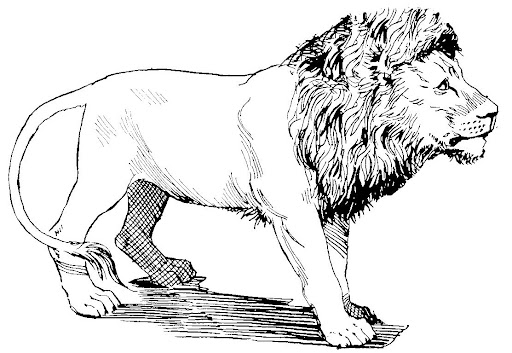 Категория Раскраски львица и львята Скачать или распечатать раскраску, львенок