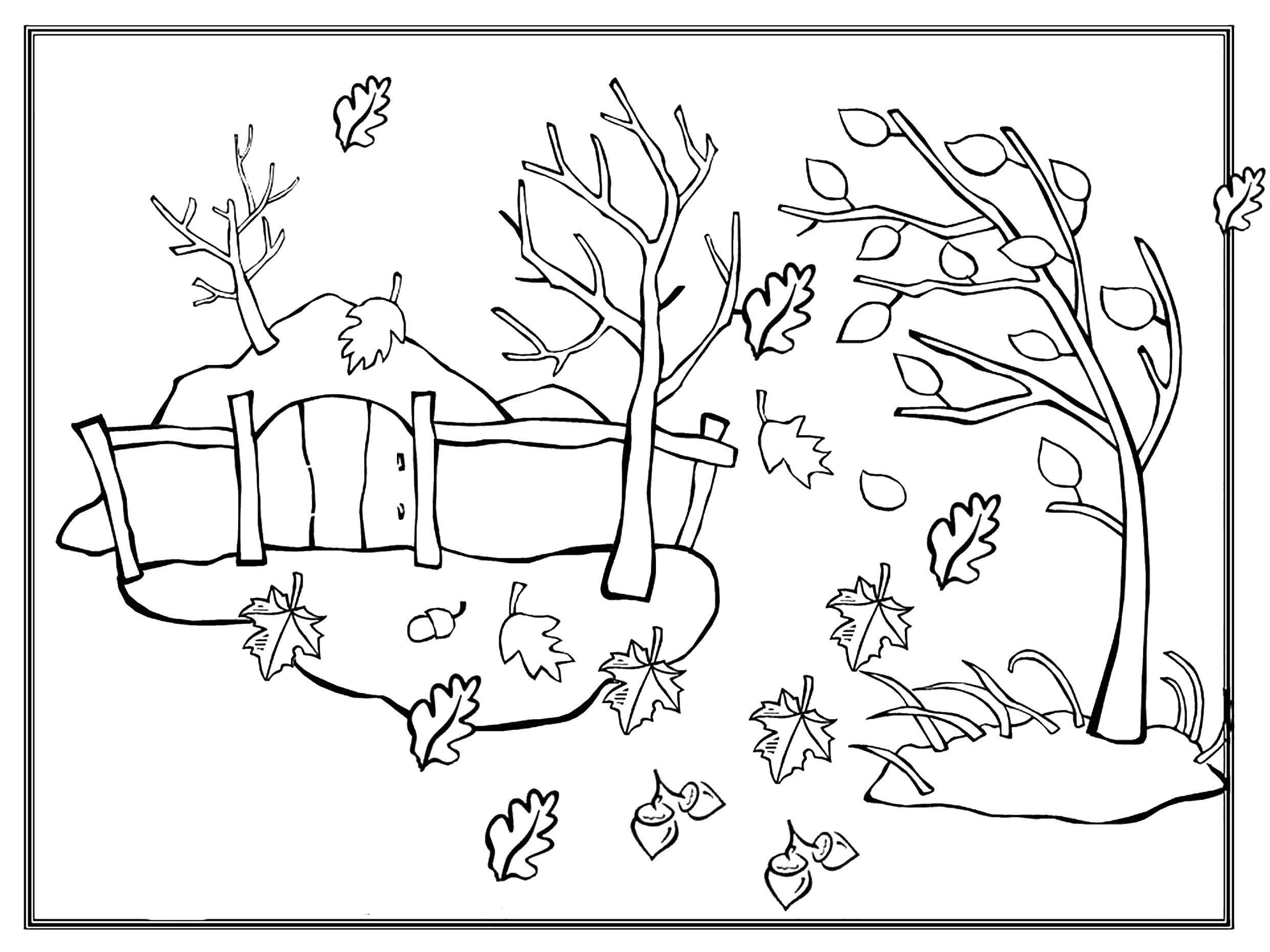 Листопад. Раскраски для детей на тему листопад. Раскраски листопад. Раскраски на тему окружающий мир, осень, раскраски с листьями. Скачать раскраски листопад.   
