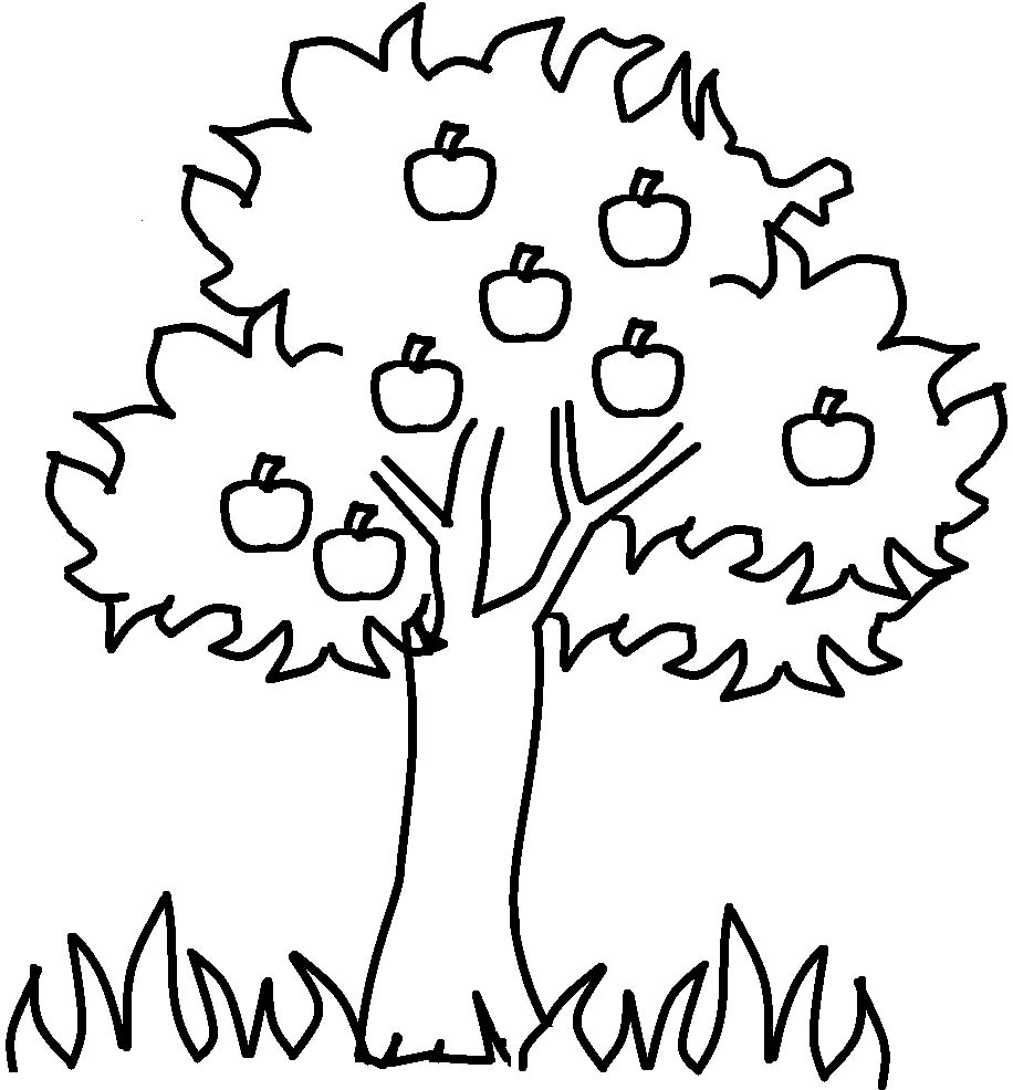 Занятие по экологии «Сказочные деревья» для детей 5–6 лет