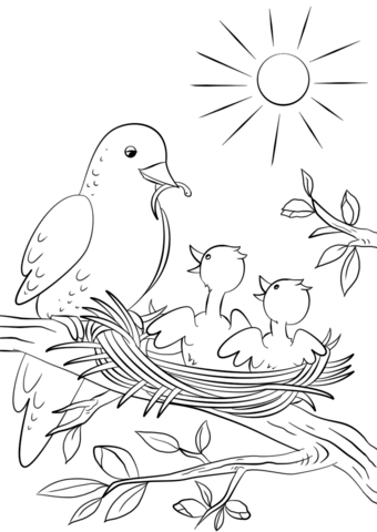  раскраски на тему рисуем птиц                раскраски на тему рисуем птиц для мальчиков и девочек. Познавательные раскраски с поэтапным рисованием птиц. Раскраски для детей     