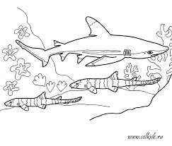  Раскраски детские подводный мир.  Скачать бесплатные раскраски рыбки. Раскраски для детей с рыбами. Раскраски для детей скачать. Бесплатные детские раскраски.  Раскраски детские подводный мир. 