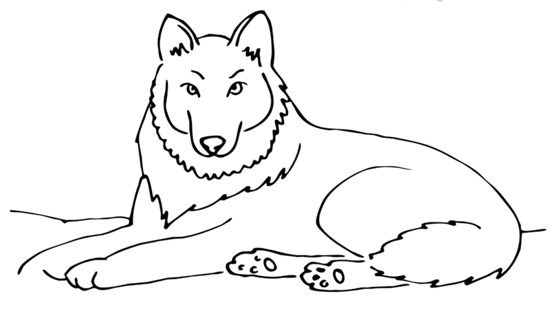 Раскраска по номерам Зимние волки (VP1130) Babylon