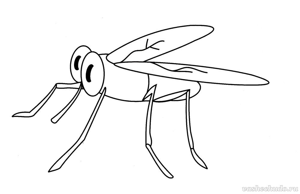  раскраски с комарами на тему окружающий мир для мальчиков и девочек.  раскраски с комарами для детей и взрослых 