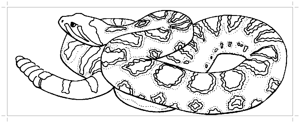 Змейка раскраска - 60 фото