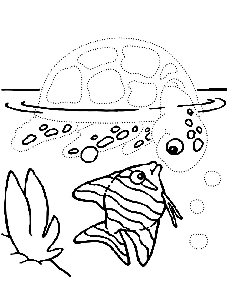  раскраски с морскими обитателями                  раскраски на тему рисуем морских обитателей для мальчиков и девочек. Познавательные раскраски с морскими обитателями для детей              