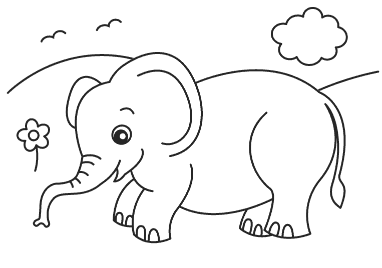 Раскраски слон скачать и распечатать бесплатно
