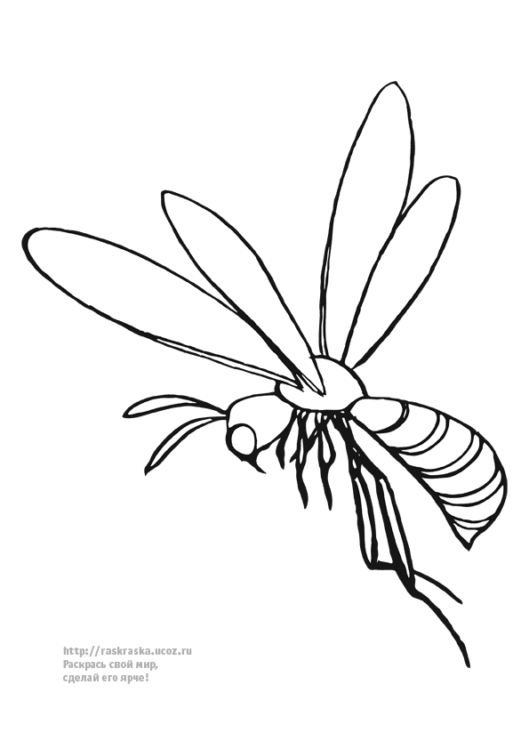  раскраски с комарами на тему окружающий мир для мальчиков и девочек.  раскраски с комарами для детей и взрослых 