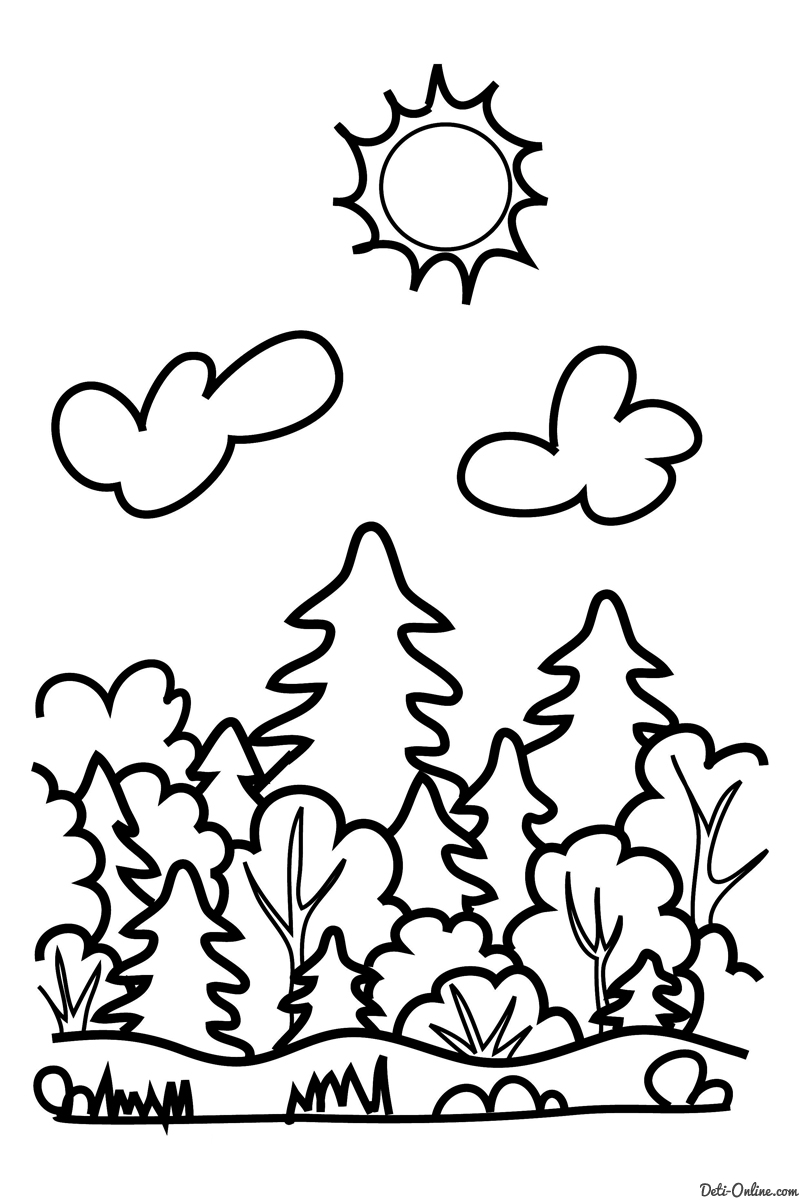 Скачать бесплатные раскраски лес. Раскраски детские с лесом онлайн бесплатно. Раскраски для детей с природой. Раскраски для детей скачать. Бесплатные детские раскраски.
