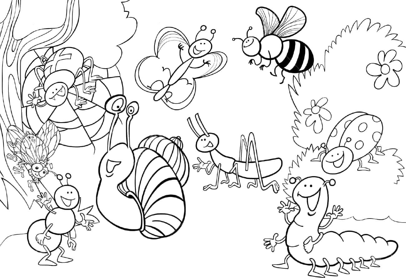 Раскраски и изображением насекомых для детей. Раскраски для мальчиков  и девочек. Раскраски для мальчиков и девочек с изображением насекомых:муравьев ,бабочек ,пауков ,тараканов.. Раскраски антистресс насекомые . Раскраски на тему насекомые .
