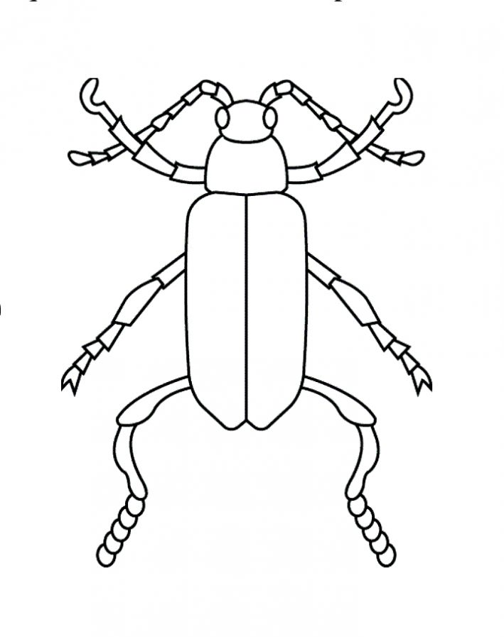 Жук. Раскраски для детей на тему жуки. Раскраски с жуками.   Жуки. Раскраски с жуками. Детские познавательные раскраски на тему жуки. Раскраски для детей с жуками, насекомыми. Скачать раскраски с жуками.                     