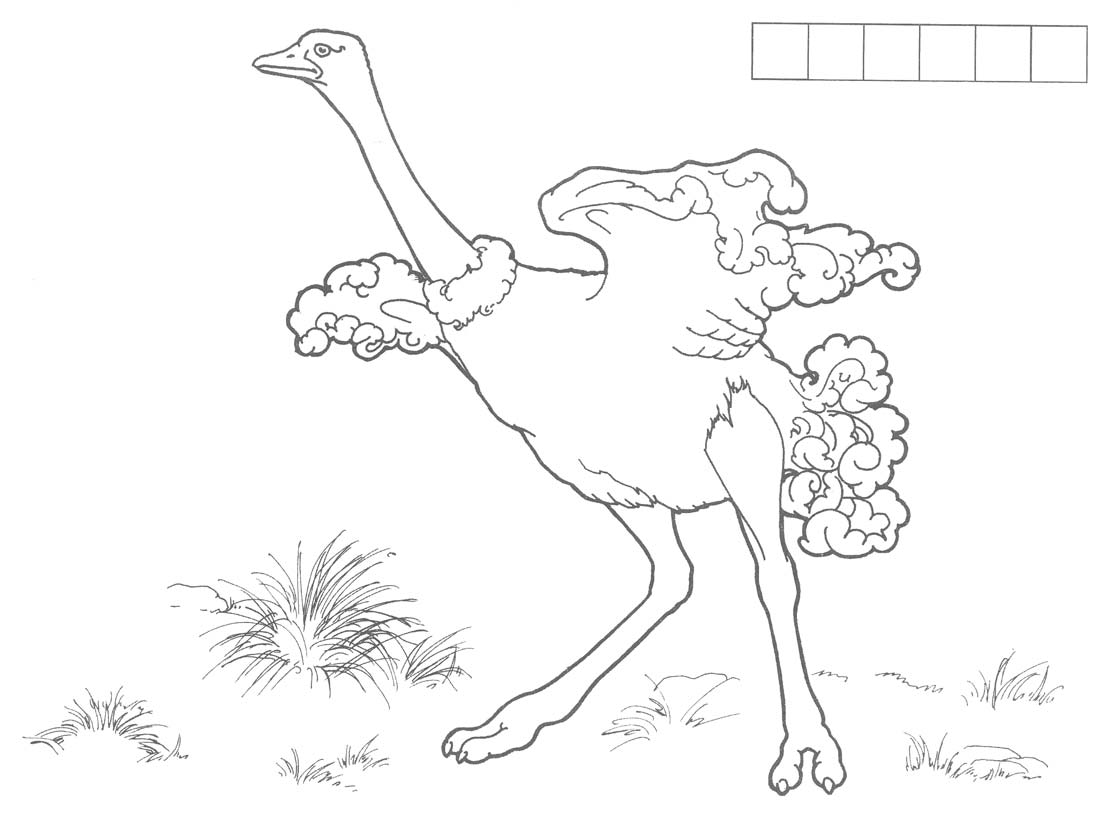  раскраски на тему страус для детей        раскраски со страусом на тему окружающий мир для мальчиков и девочек.  раскраски со страусом для детей          