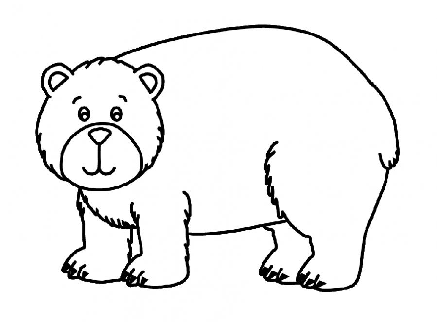 Медведь раскраска для малышей 59 фото