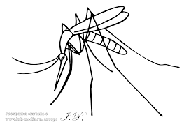  раскраски с комарами на тему окружающий мир для мальчиков и девочек.  раскраски с комарами для детей и взрослых 