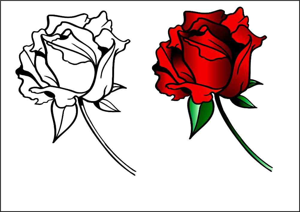 Розы. Раскраски для детей на тему розы. Раскраски на тему окружающий мир для детей. Раскраски с розами, раскраски розы, скачать раскраски с розами.                    