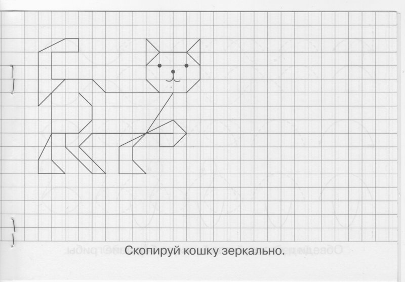 Раскраски-обучалки для детей. Раскраски на развитие для детей. Раскраски - диктанты. Скачать раскраски графические диктанты для малышей и детей. Раскраски - графические диктанты. 