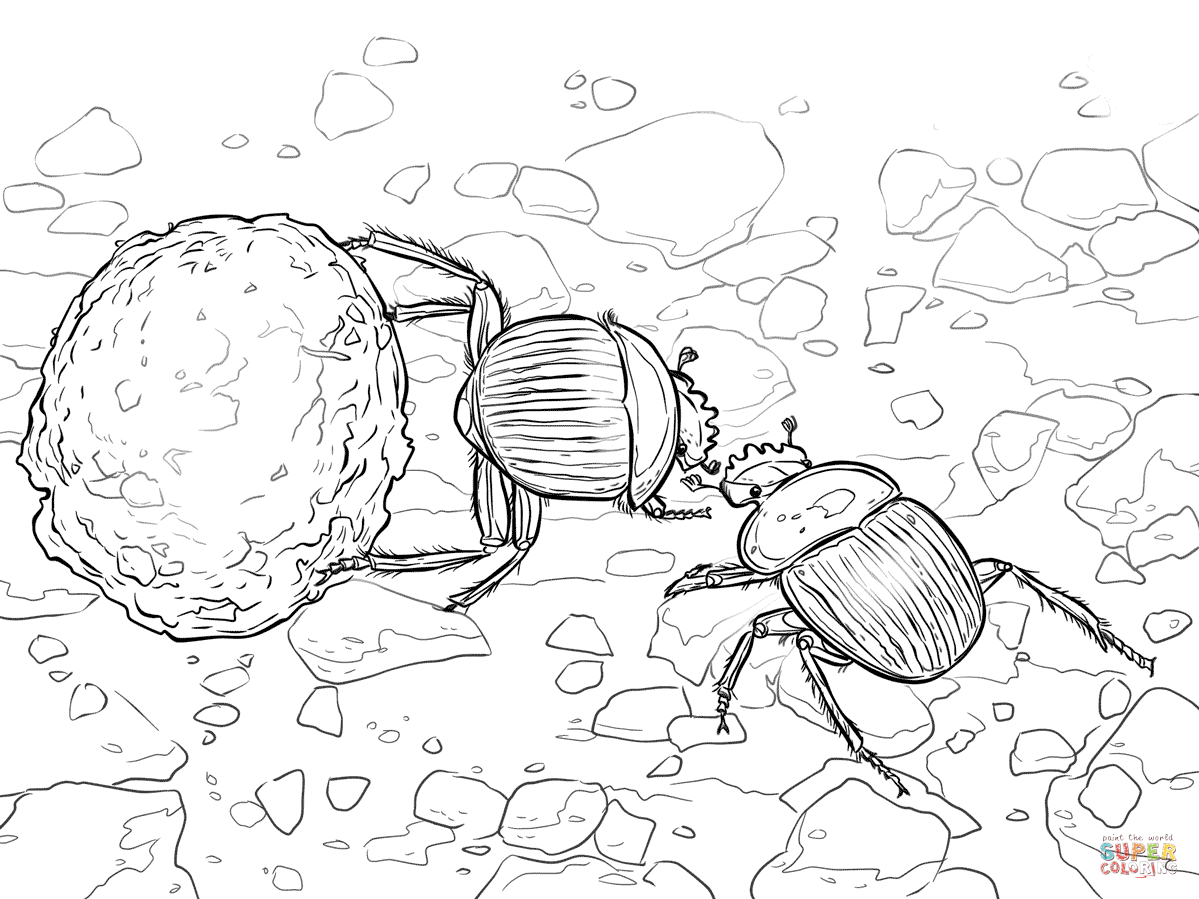  раскраски на тему жук для детей            раскраски с жуками на тему окружающий мир для мальчиков и девочек.  раскраски с жуками для детей                              