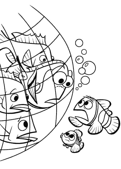 Раскраски для детей из всеми любимыми героями сказки в Поисках Немо Раскраски для детей с героями мультфильма в Поисках Немо . Разукрашки с рыбами из сказки в Поисках Немо . Раскраски для любителей мультфильма в поисках Немо.   
