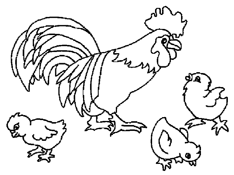 Chicken coloring page | Coloring books for children 3, 4, 5, 6, 7, 8 years old: 22 coloring pages