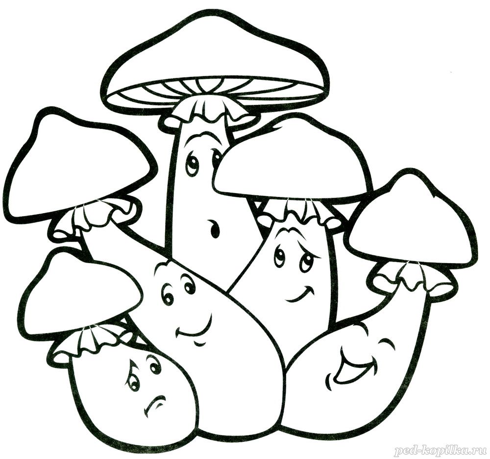  раскраски на тему грибы для детей        раскраски с грибами на тему окружающий мир для мальчиков и девочек. Познавательные и интересные раскраски с грибами для детей               