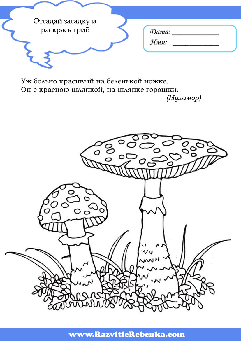 Раскраска онлайн Названия грибов бесплатно