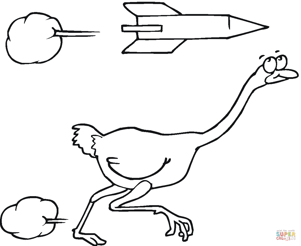  раскраски на тему страус для детей        раскраски со страусом на тему окружающий мир для мальчиков и девочек.  раскраски со страусом для детей          