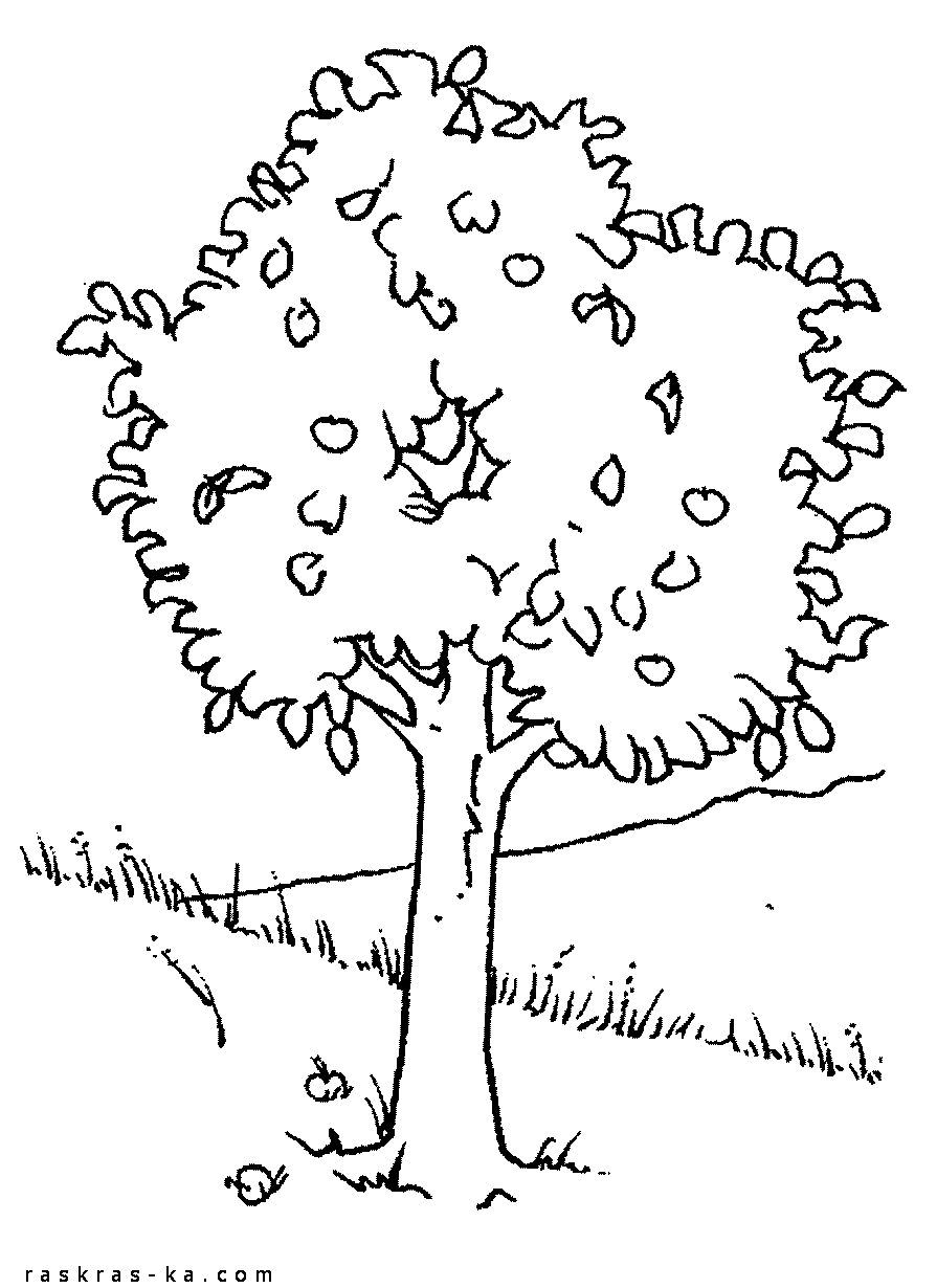 Раскраски с изображением деревьем . Раскраски для детей ,в которых изображены деревья . Раскраски антистресс с изображением деревьев для каждого желающего!     