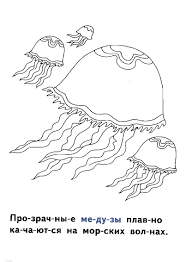  раскраски с медузой на тему окружающий мир для мальчиков и девочек. Познавательные и интересные раскраски с медузой для детей                      