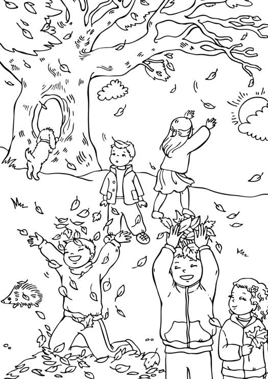 Листопад. Раскраски на тему листопад. Раскраски на тему осень. Листопад. Раскраски для детей на тему листопад. Раскраски листопад. Раскраски на тему окружающий мир, осень, раскраски с листьями. Скачать раскраски листопад.   