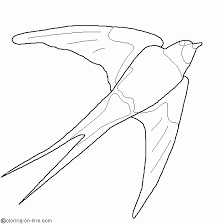  раскраски с ласточками на тему окружающий мир для мальчиков и девочек.  раскраски с ласточками для детей         