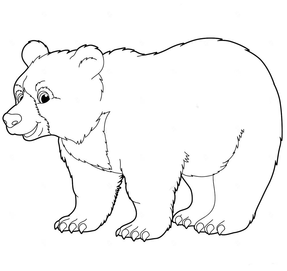 Медведица - скачать и распечатать раскраску. Медведь, раскраски Храбрая сердцем распечатать