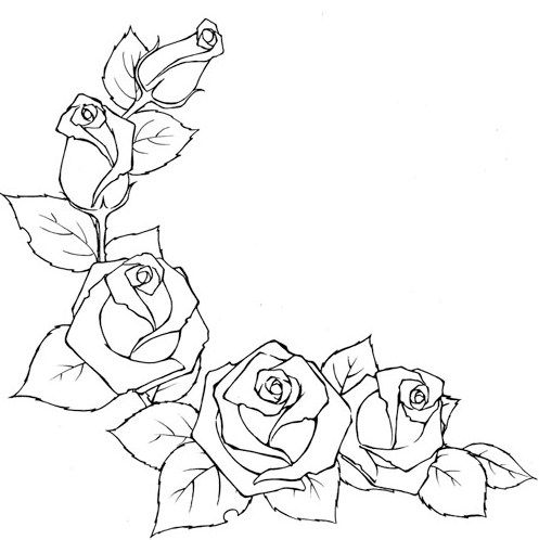 Розы. Раскраски розы. Раскраски для детей на тему розы, цветы.  Розы. Роза. Раскраски розы. Раскраски для детей на тему окружающий мир, цветы, розы. Раскраски на тему цветы. Цветы. Скачать раскраски с розами.                  