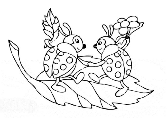 Жук. Раскраски для детей на тему жуки. Раскраски с жуками.   Жуки. Раскраски с жуками. Детские познавательные раскраски на тему жуки. Раскраски для детей с жуками, насекомыми. Скачать раскраски с жуками.                     