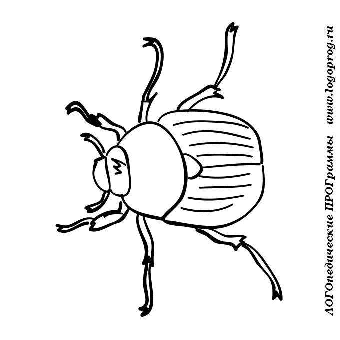  раскраски на тему жук для детей            раскраски с жуками на тему окружающий мир для мальчиков и девочек.  раскраски с жуками для детей                              