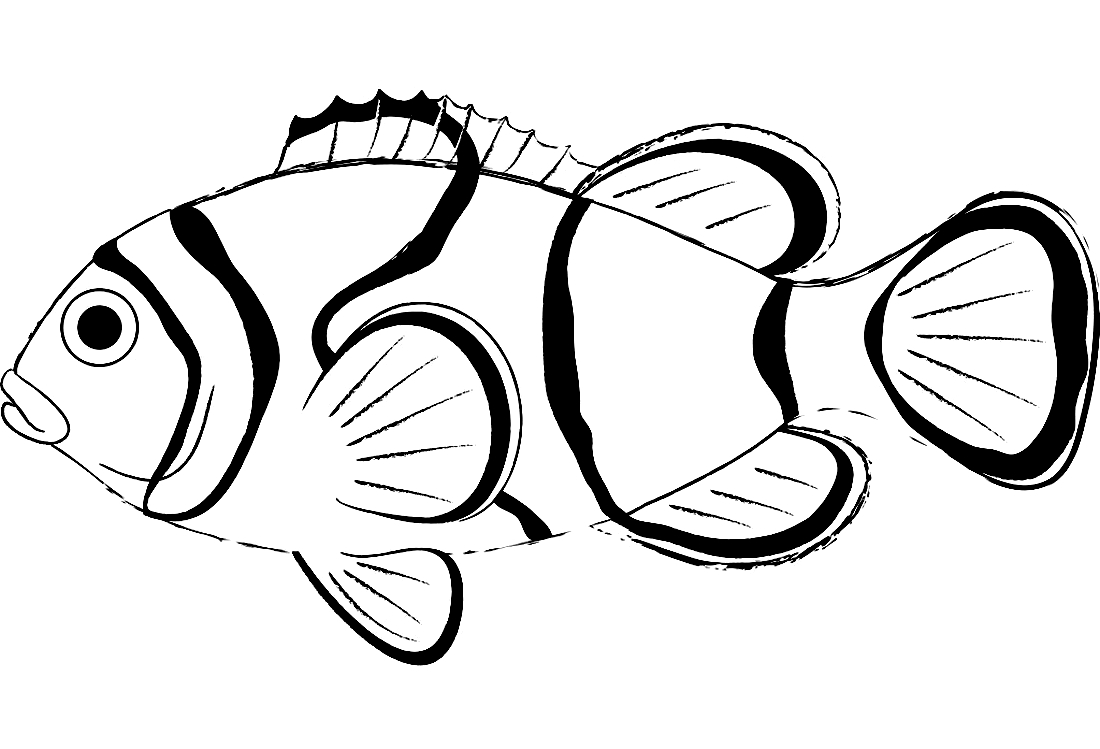 Изображения по запросу Рыбки раскраска