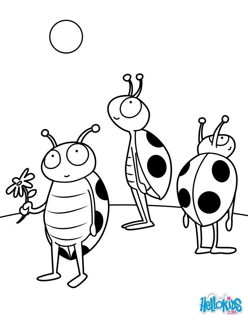 Жуки. Раскраски с жуками. Детские познавательные раскраски на тему жуки. Раскраски для детей с жуками, насекомыми. Скачать раскраски с жуками.                     