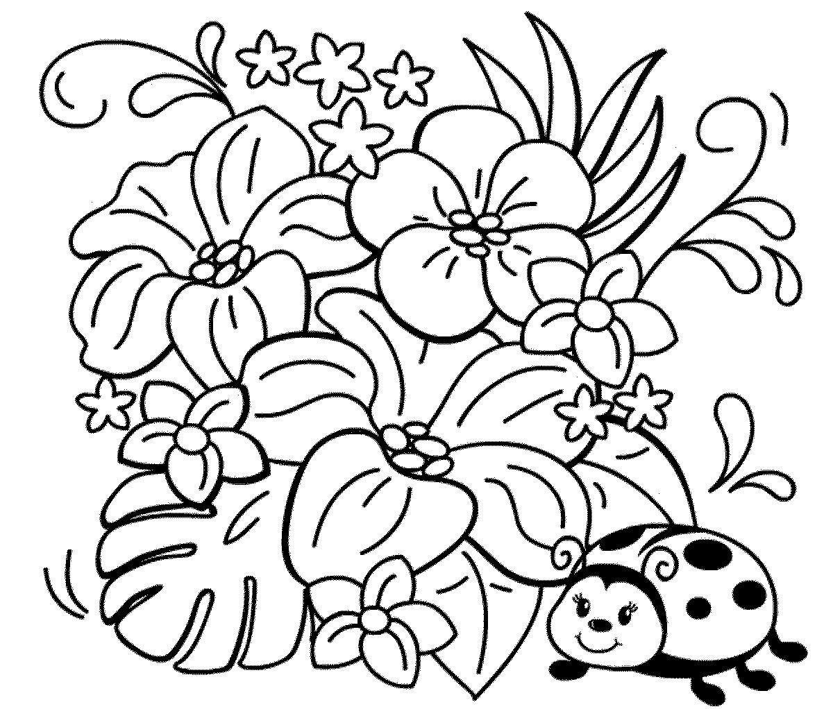 Цветы. Растения. Раскраски для детей на тему цветы. Раскраски цветы. Раскраски для деток с разными цветами. Скачать раскраски с цветами.                        